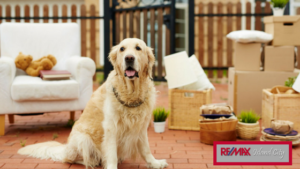 Tips for Moving With Your Pet