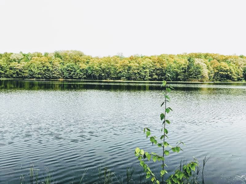 Cumberland WI Real Estate, Property For Sale Cumberland RE/MAX Northstar